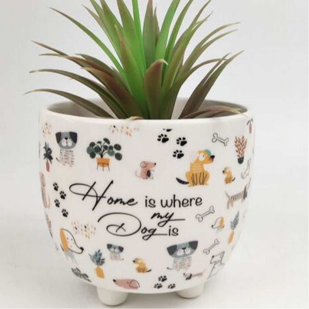 Urban Products Home Is Where My Dog Is Planter Pot 10cm