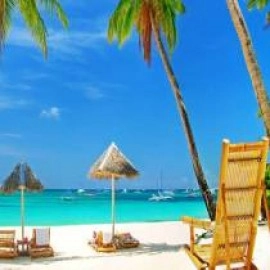 Tour & Travel (6)